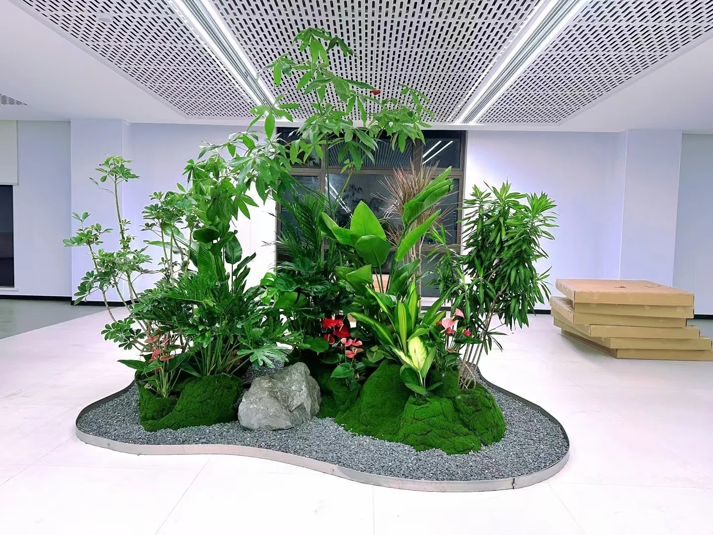 专业奉化盆景出租，给你别样的绿色景观体验