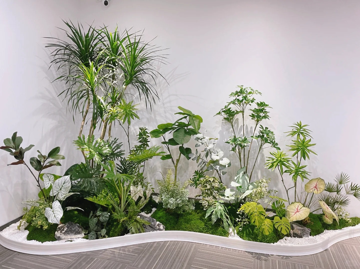 专业奉化盆景出租，给你别样的绿色景观体验